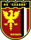 Славия-Мозырь